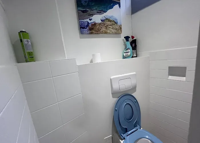 Lejlighed Spacieux Familial A Cauterets, 4 Chambres, Confort - Fr-1-812-37